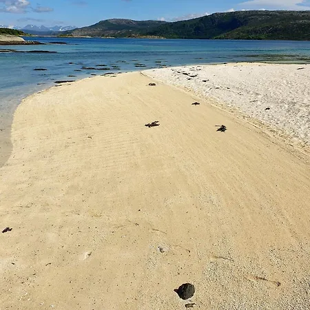 בית נופש Seaside Charm In Hamaroy-by Traum Skutvika